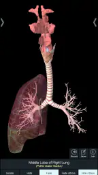 Essential Anatomy 5 screenshot