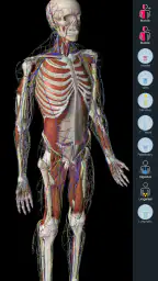 Essential Anatomy 5 screenshot