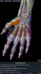 Essential Anatomy 5 screenshot