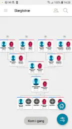 FamilySearch Tree screenshot
