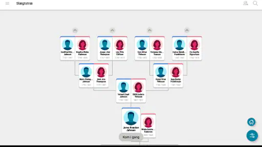 FamilySearch Tree screenshot