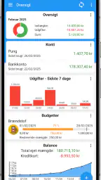 Fast Budget - Udgiftschef screenshot