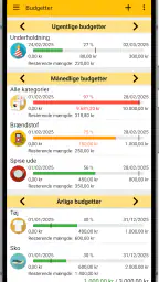 Fast Budget - Udgiftschef screenshot