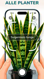 Florum: Plante app scanner screenshot