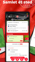 Fodbold screenshot