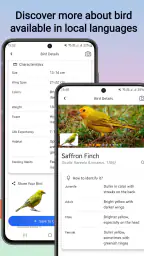 Fugleidentifikation screenshot