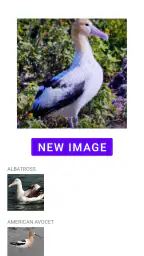 Fugleidentifikation screenshot