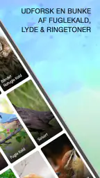 Fuglestemmer - Fuglelyde screenshot