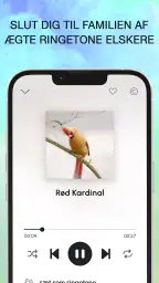 Fuglestemmer - Fuglelyde screenshot