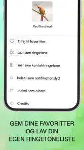 Fuglestemmer - Fuglelyde screenshot