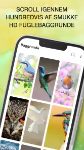 Fuglestemmer - Fuglelyde screenshot