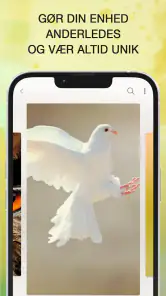 Fuglestemmer - Fuglelyde screenshot