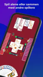Fun Bridge screenshot