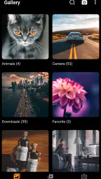 Gallery - photo gallery, album screenshot