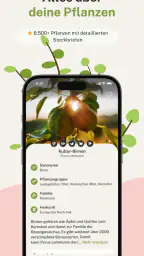 Gardify: Garten & Pflegeplan screenshot