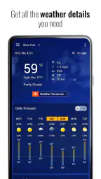 Gennemsigtigt ur vejr Pro screenshot