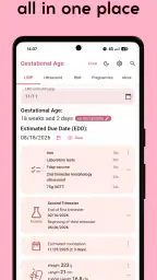 Gestational Age (baby's age) screenshot