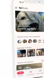 GoDusty screenshot
