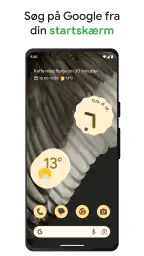 Google screenshot