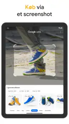 Google screenshot