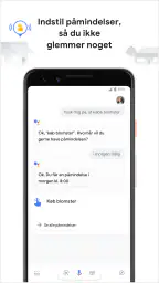 Google Assistent screenshot