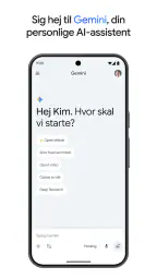 Google Gemini screenshot