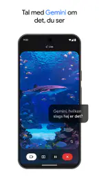 Google Gemini screenshot