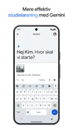 Google Gemini screenshot