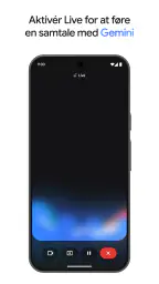Google Gemini screenshot