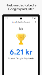 Google Panel screenshot