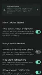Google Pixel Watch screenshot