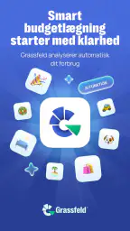 Grassfeld -  Budget og økonomi screenshot