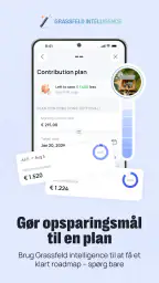 Grassfeld -  Budget og økonomi screenshot