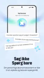 Grassfeld -  Budget og økonomi screenshot