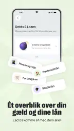 Grassfeld -  Budget og økonomi screenshot