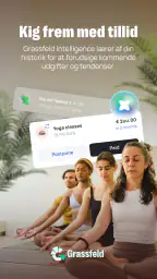 Grassfeld -  Budget og økonomi screenshot