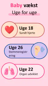 Gravid følg udviklingen App screenshot
