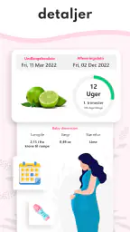 Graviditet Regnemaskine screenshot