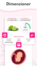 Graviditet Regnemaskine screenshot