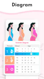 Graviditet Regnemaskine screenshot