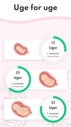 Graviditet Regnemaskine screenshot