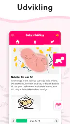 Graviditet Regnemaskine screenshot