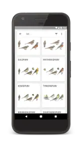 Gyldendals Store Fugleguide screenshot