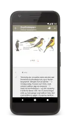 Gyldendals Store Fugleguide screenshot