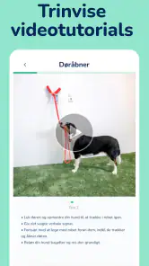 Hundeo – Hvalpe & Hundetræning screenshot