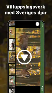 Jägarexamen screenshot
