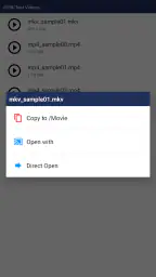 JS USB OTG screenshot