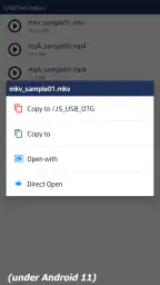 JS USB OTG screenshot
