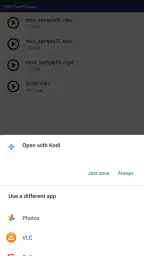 JS USB OTG screenshot