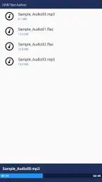 JS USB OTG screenshot